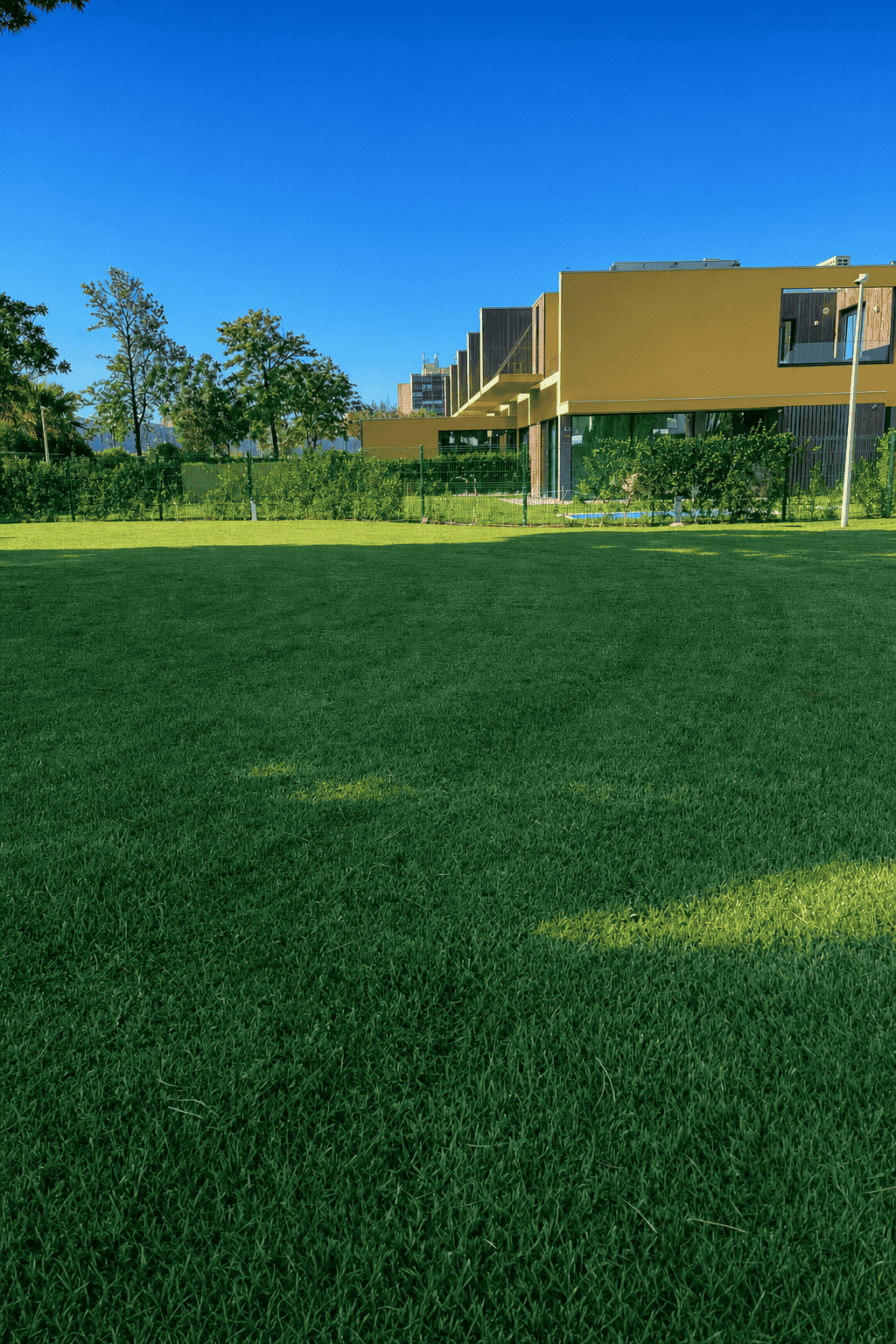 Pristine green lawn at a modern villa