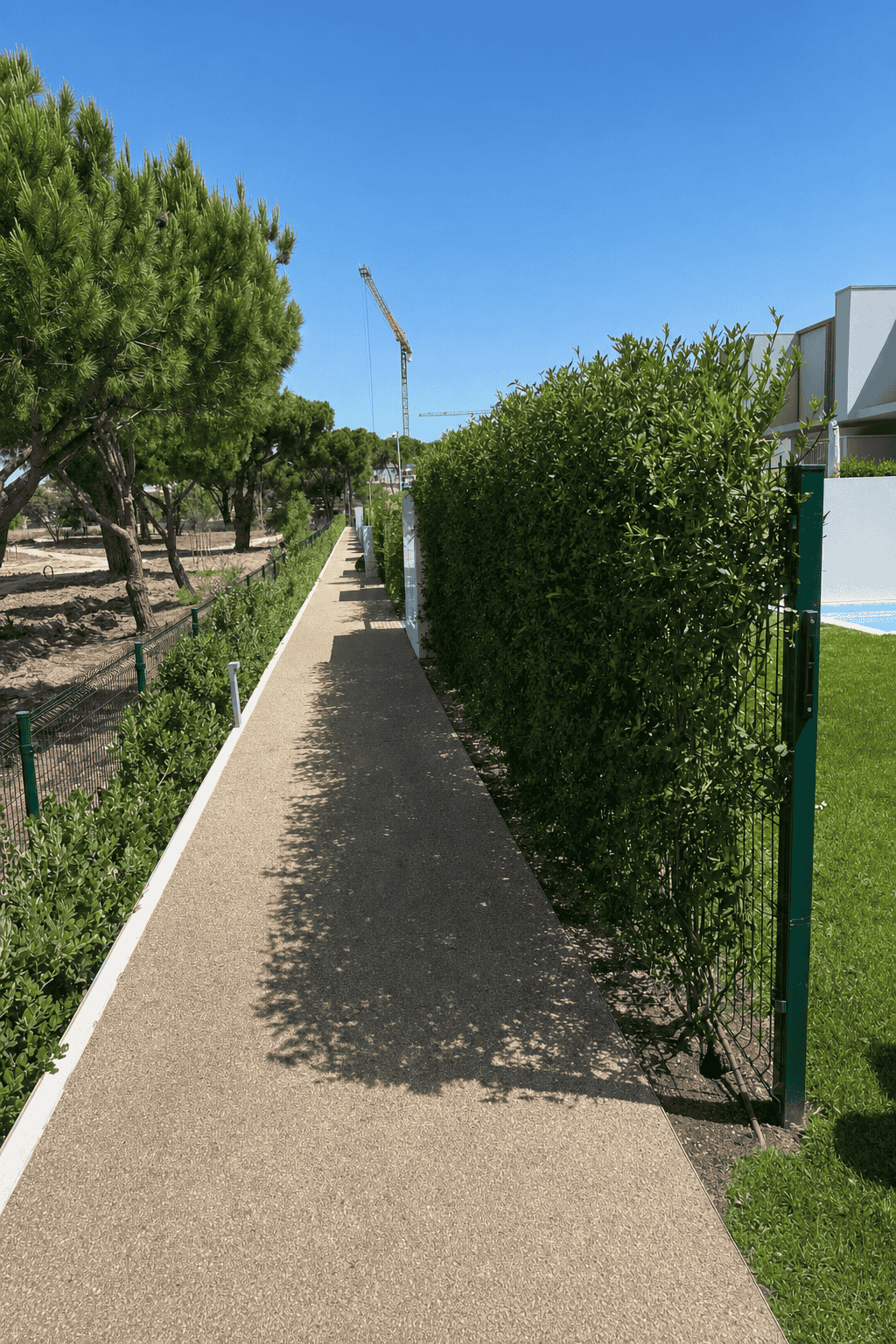 Hedge-lined gravel walkway